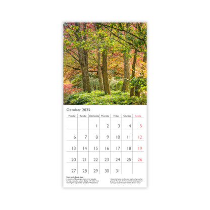 Botanic Garden Plants - Mini calendar 2025