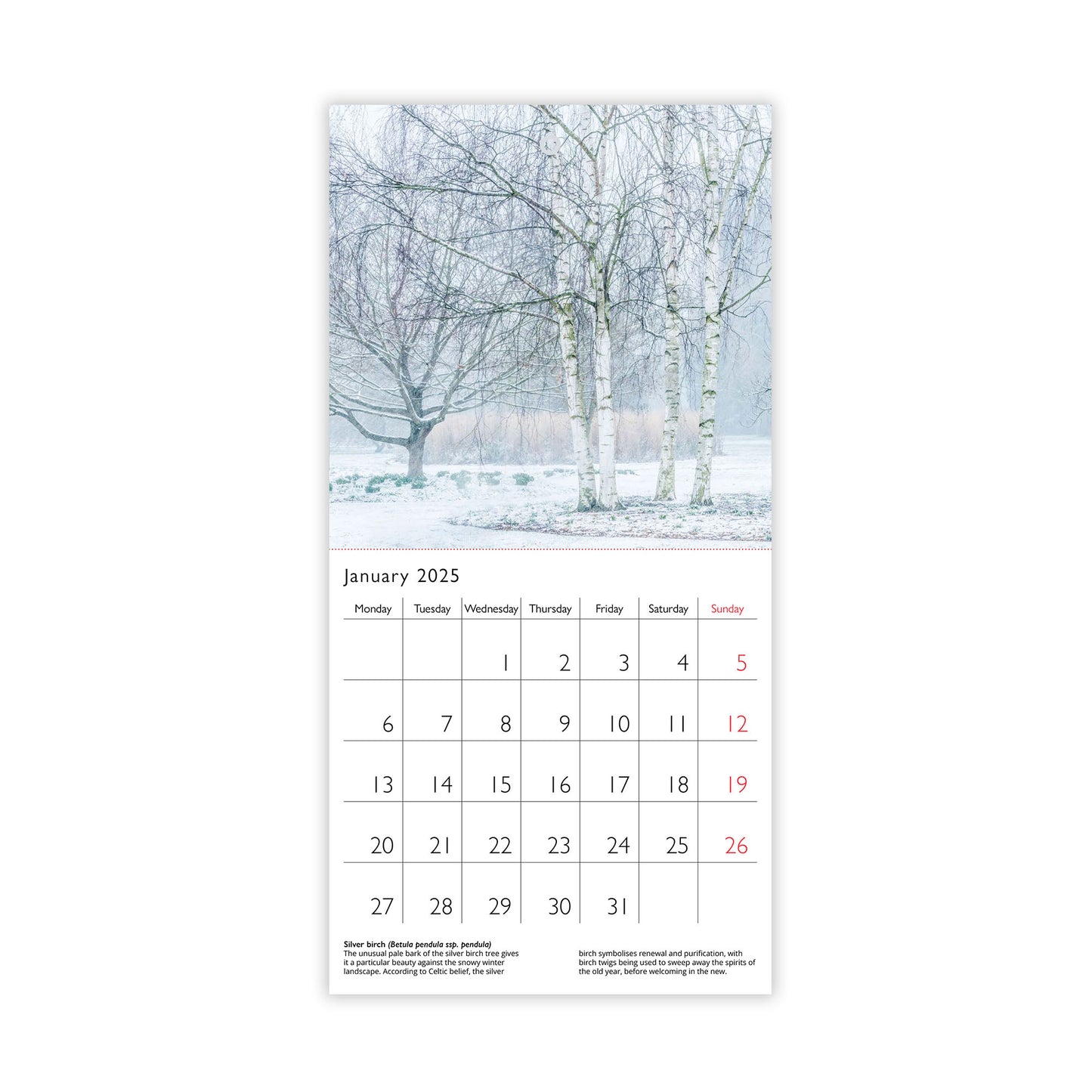 Botanic Garden Plants - Mini calendar 2025