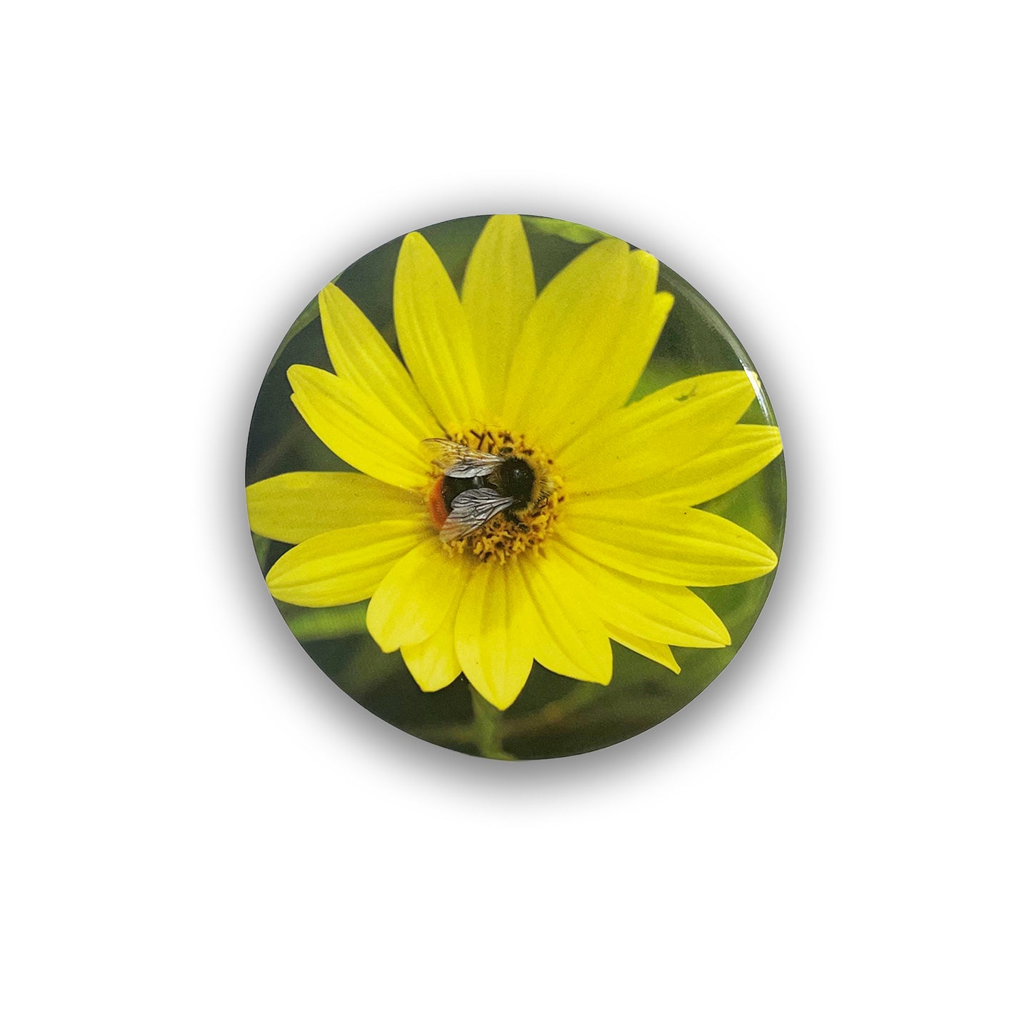 Bee on Helianthus - Pocket Mirror
