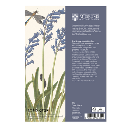 Bluebell and Dragonfly - Greeting card