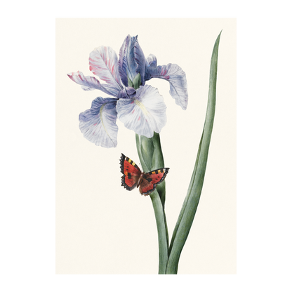 Blue Iris and Butterfly - Greeting card
