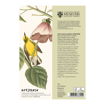 Blue-winged Yellow Warblers and Rose Mallow - Greeting card
