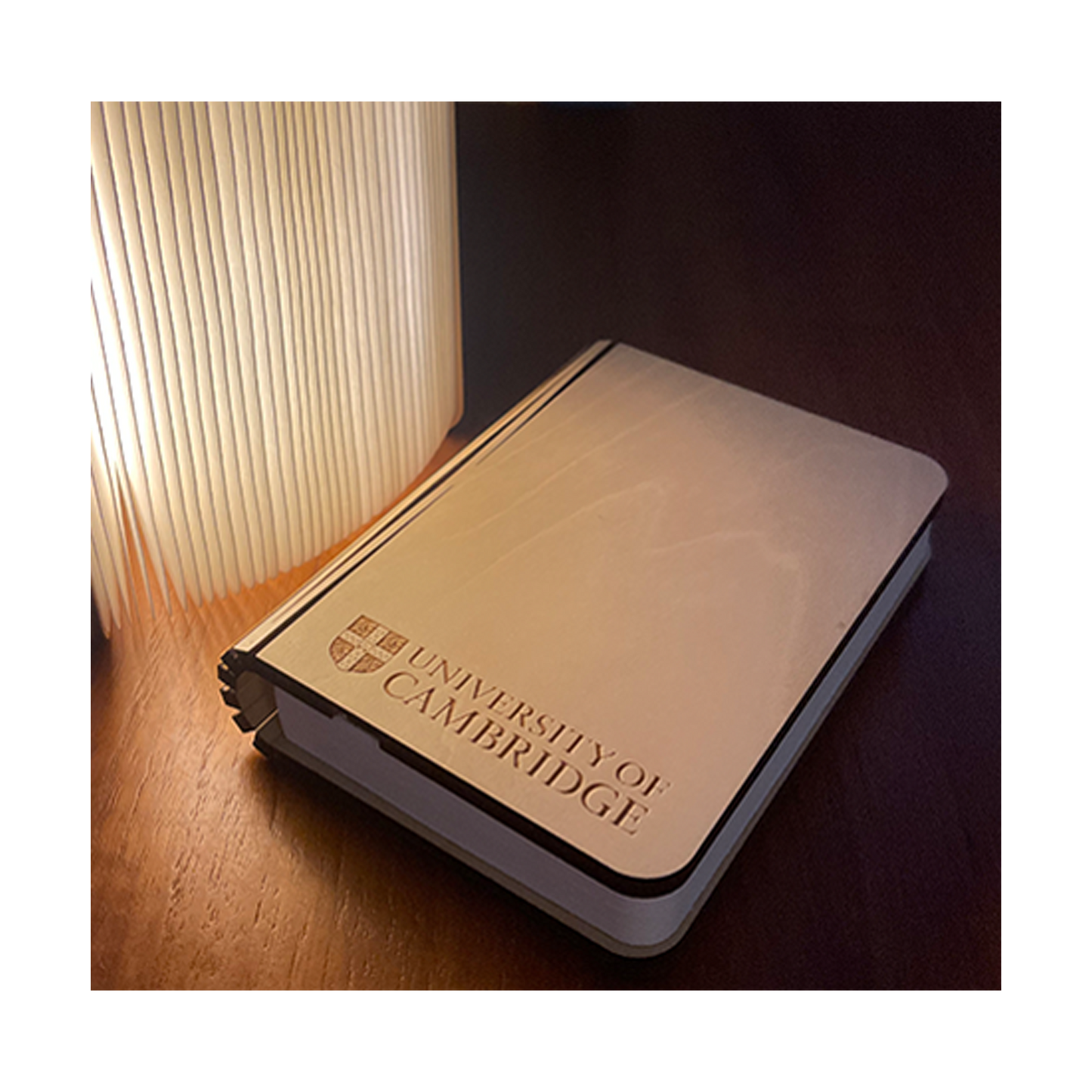 Cambridge University Book Light