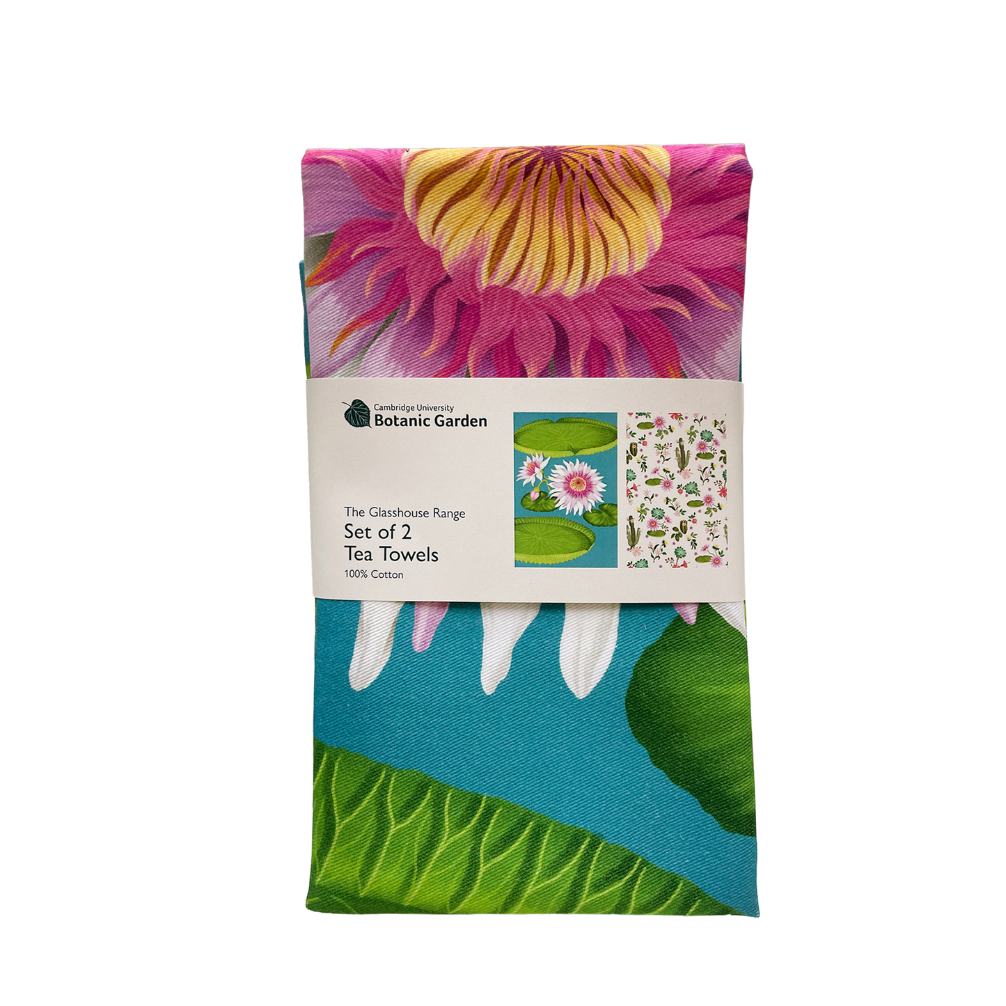 Glasshouse Range - Set of 2 tea towels