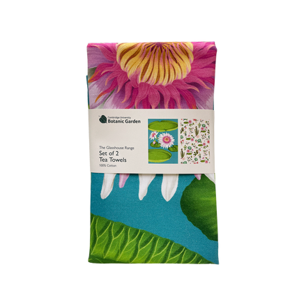 Glasshouse Range - Set of 2 tea towels