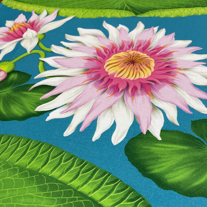 Glasshouse Range - Set of 2 tea towels