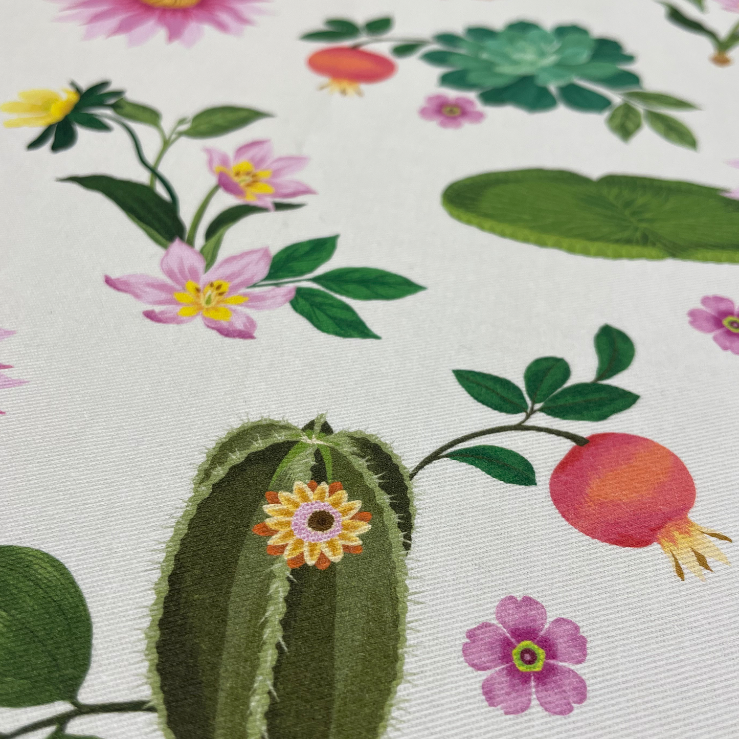 Glasshouse Range - Set of 2 tea towels