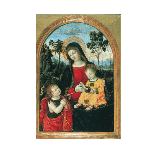 Virgin and Child with St John - Christmas card pack