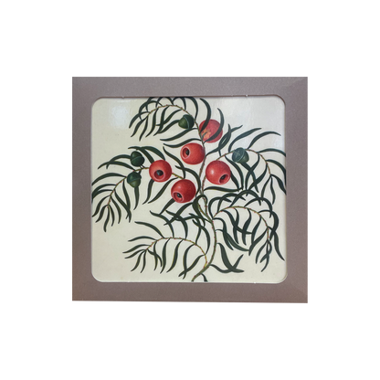Taxus (European Yew) - Christmas card pack