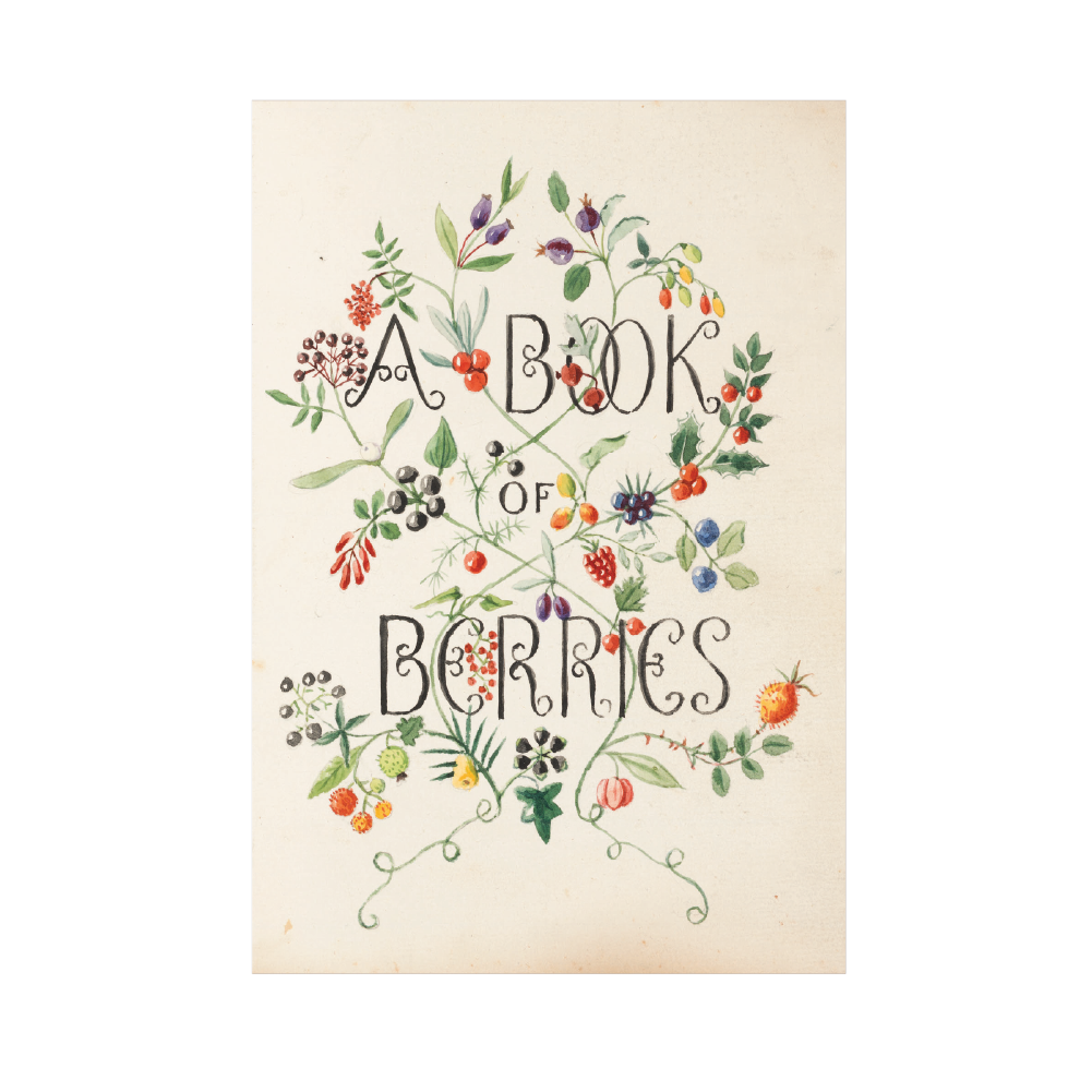 A Book of Berries - Christmas Card Pack