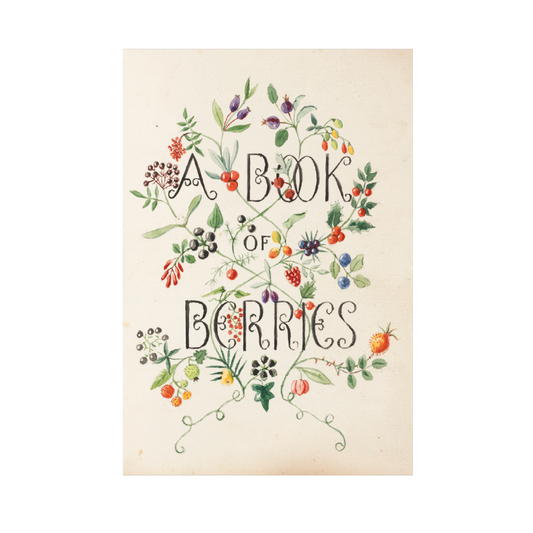 A Book of Berries - Christmas Card Pack