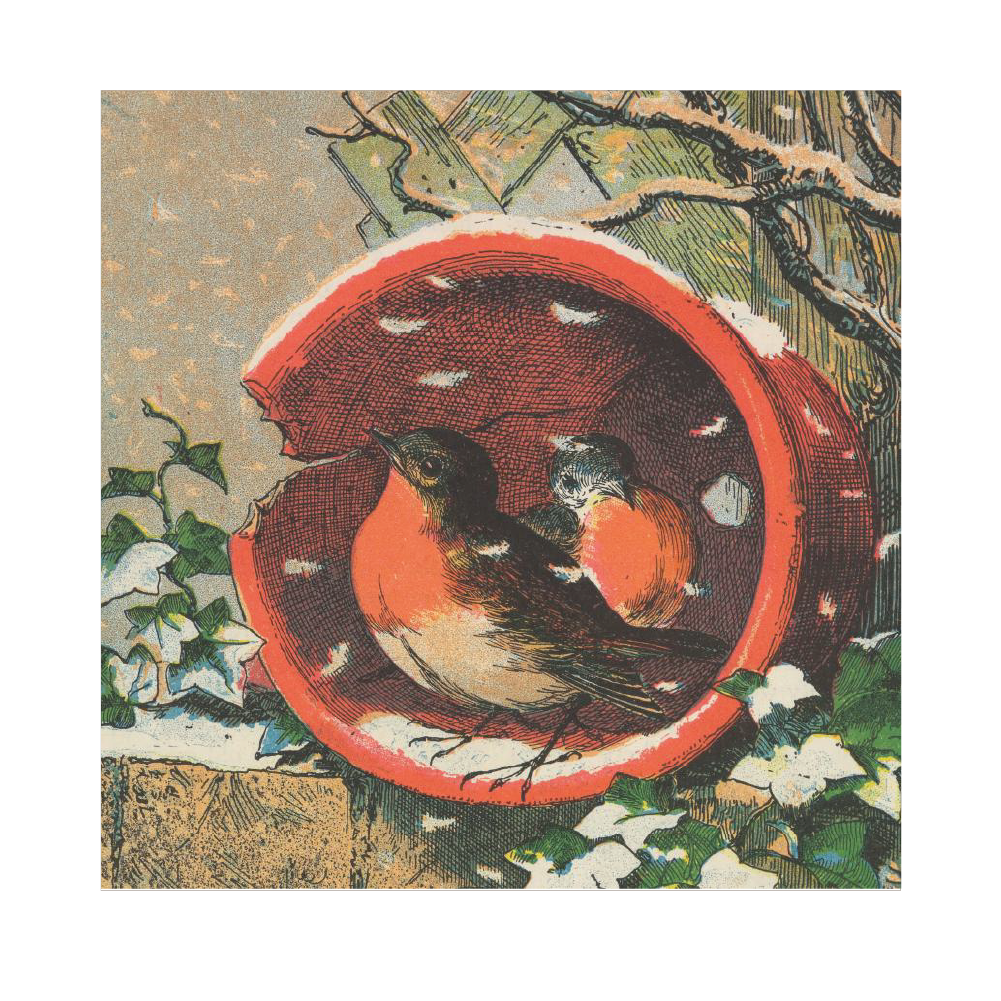 Flowerpot Robins - Christmas card pack