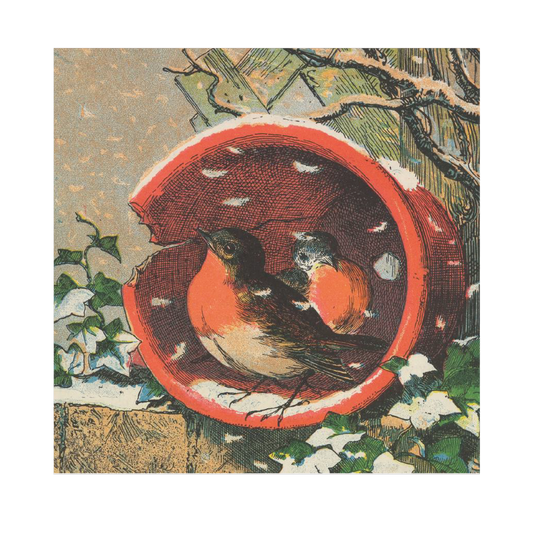 Flowerpot Robins - Christmas card pack