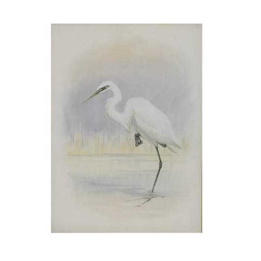 Little Egret - Christmas card pack