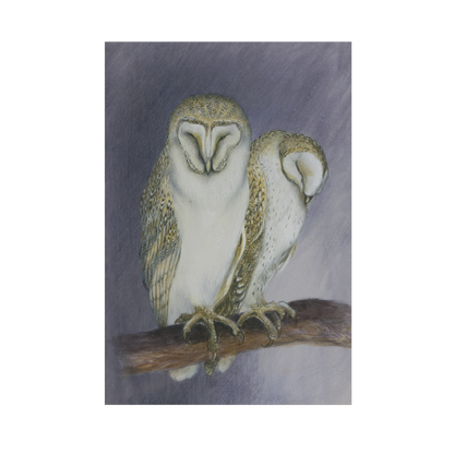 Barn Owls - Christmas card pack