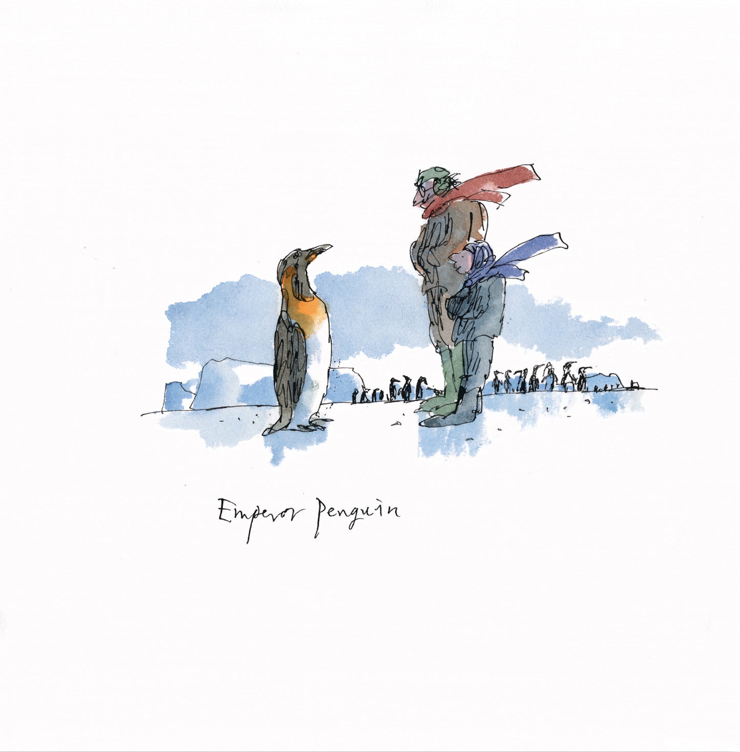 Emperor Penguin by Quentin Blake  - Christmas card pack