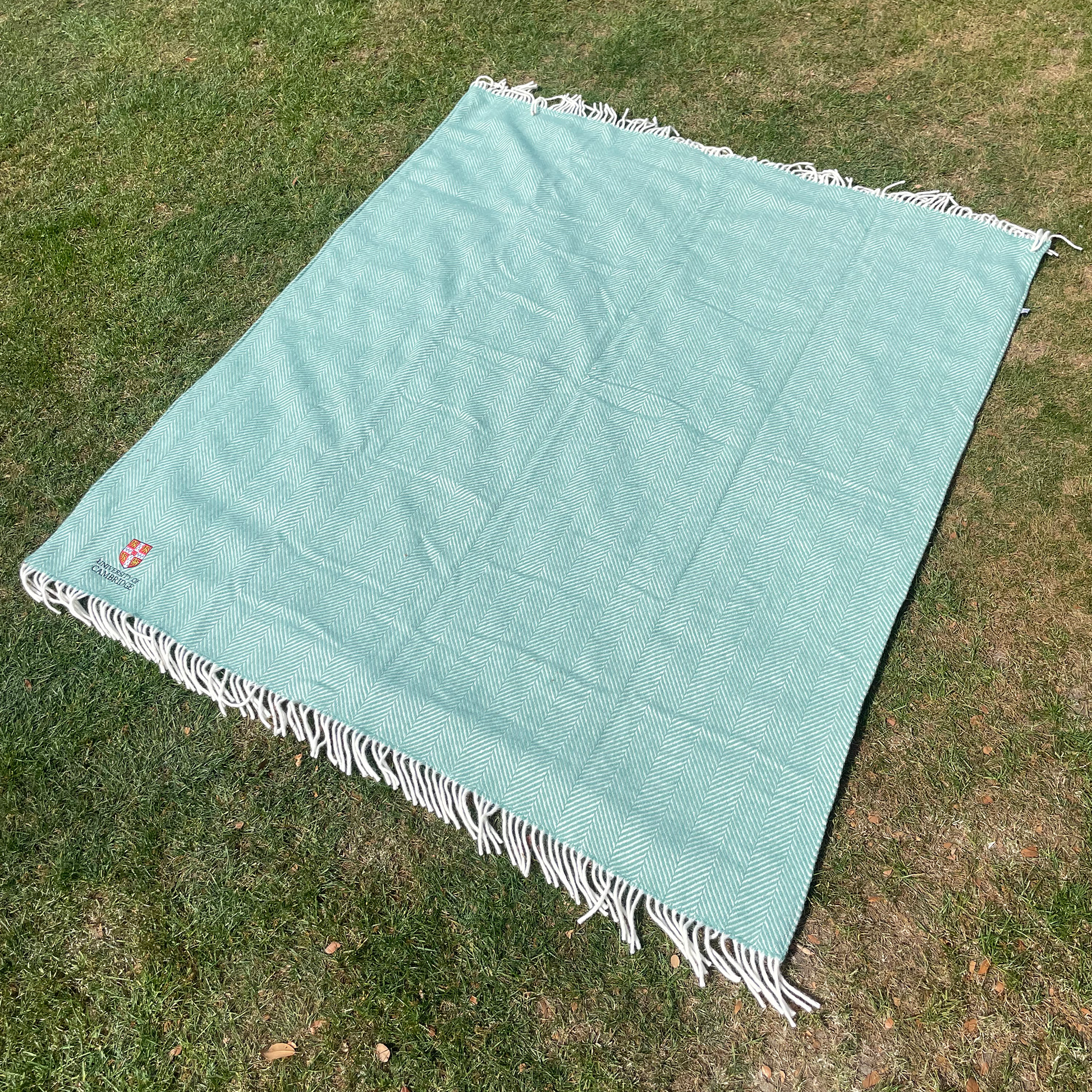 Teal blanket with white fringe on a grassy surface