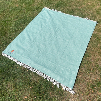 Teal blanket with white fringe on a grassy surface