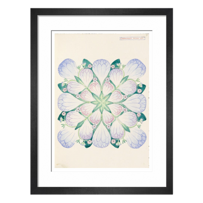 Cynoglossum - Art print