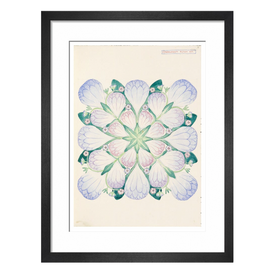 Cynoglossum - Art print