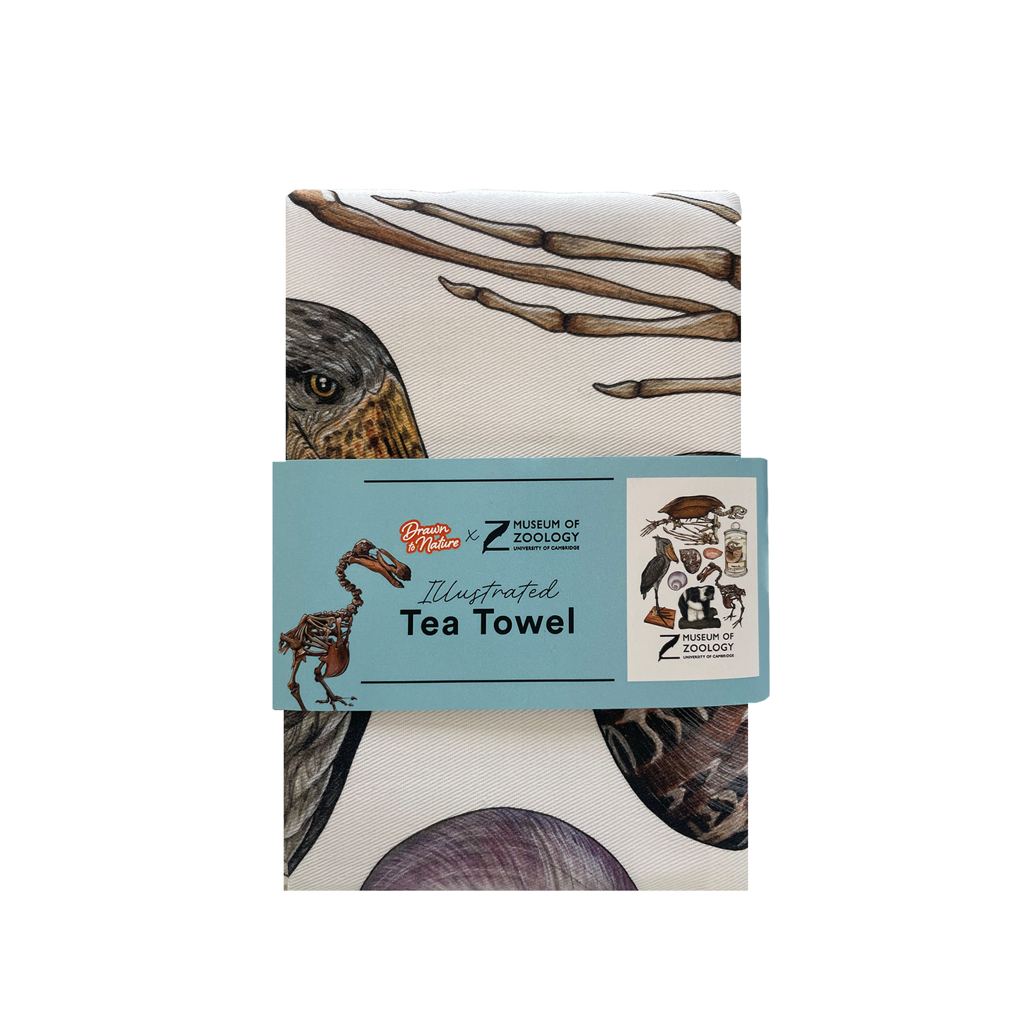 Zoology Animals - Tea towel