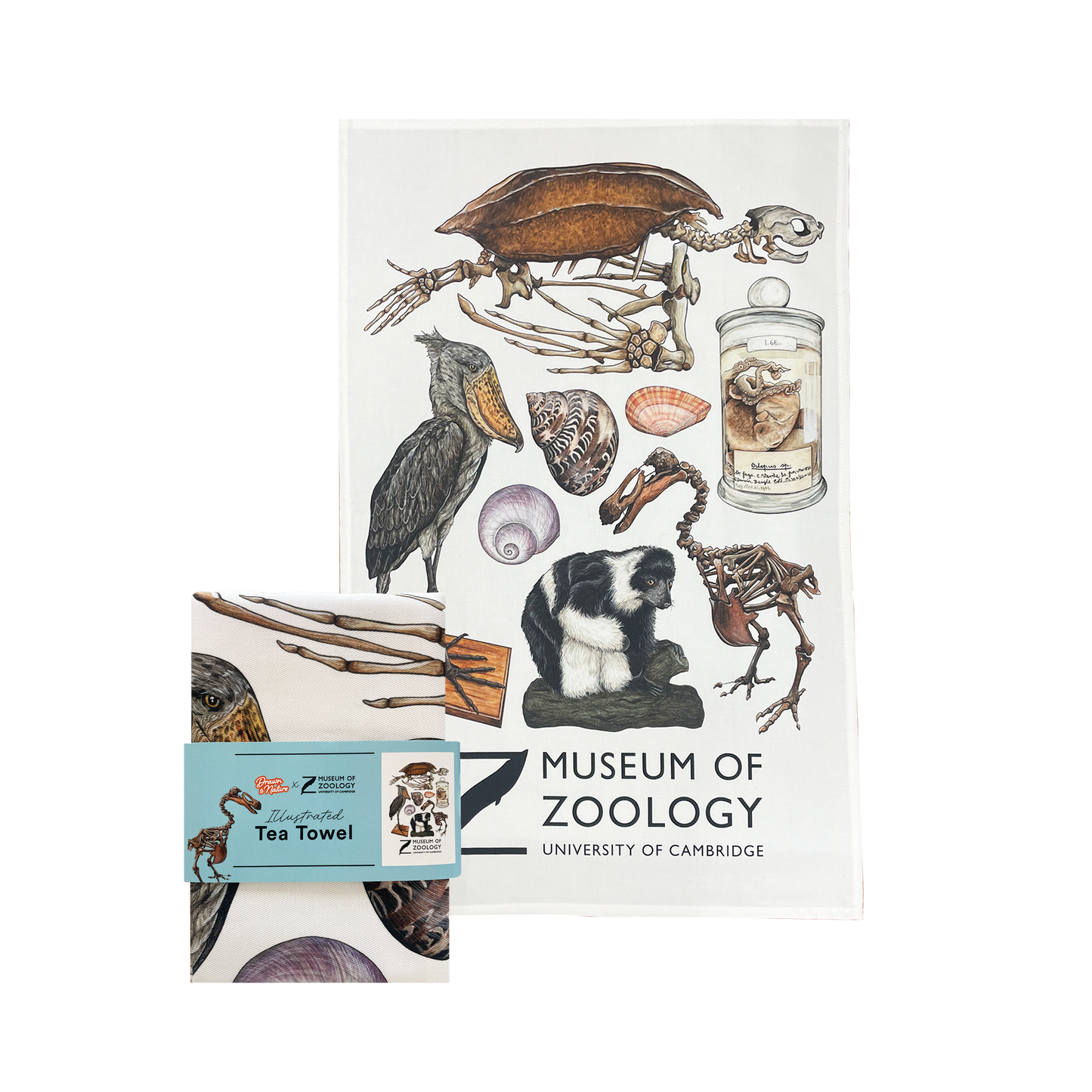 Zoology Animals - Tea towel