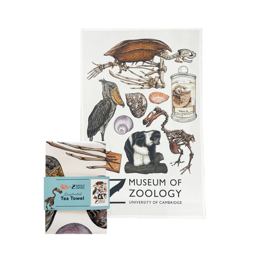 Zoology Animals - Tea towel