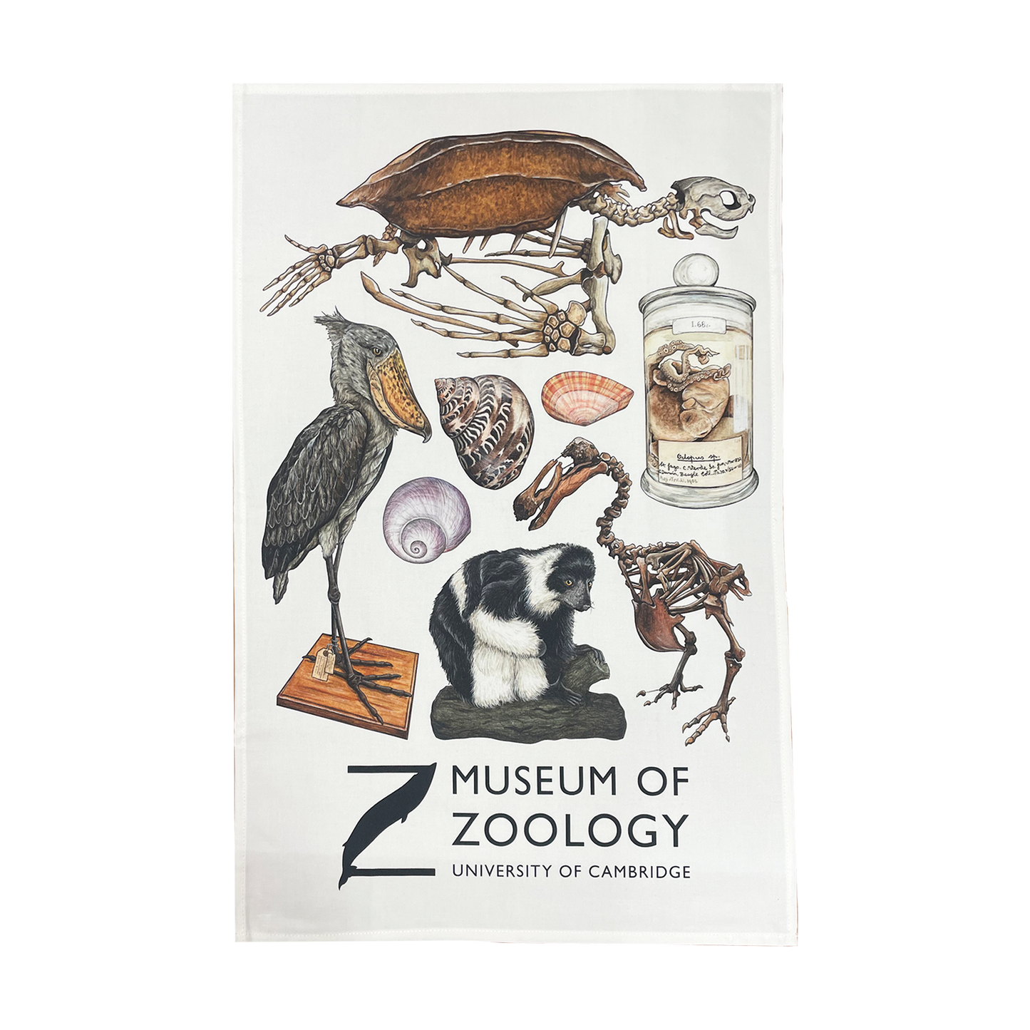 Zoology Animals - Tea towel