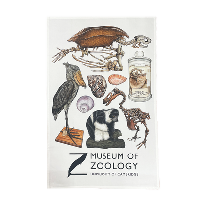 Zoology Animals - Tea towel