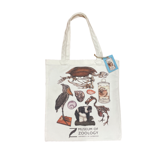 Zoology Animals - Tote bag