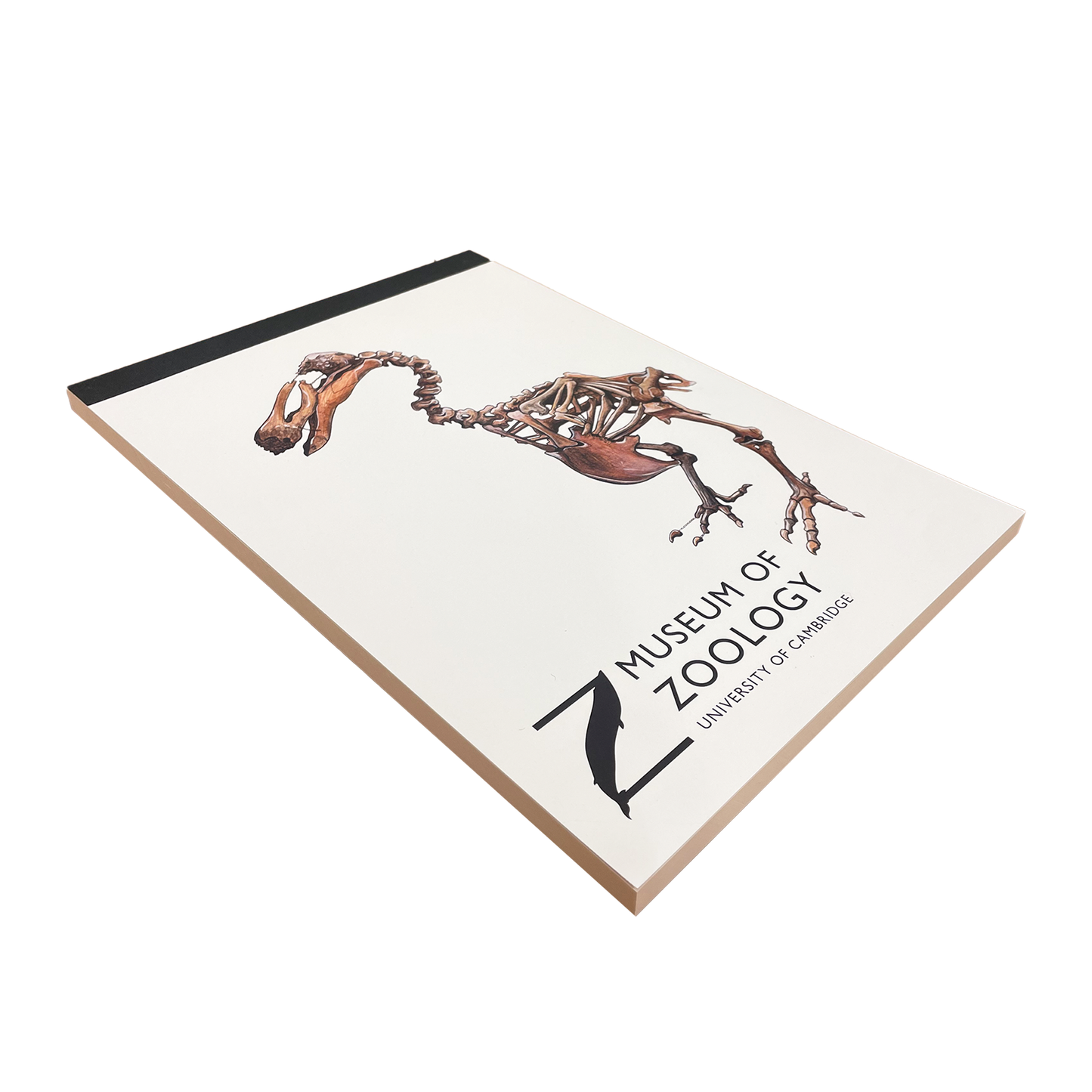 Dodo - A4 sketchbook