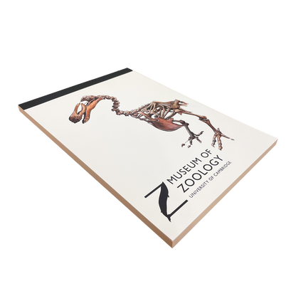 Dodo - A4 sketchbook