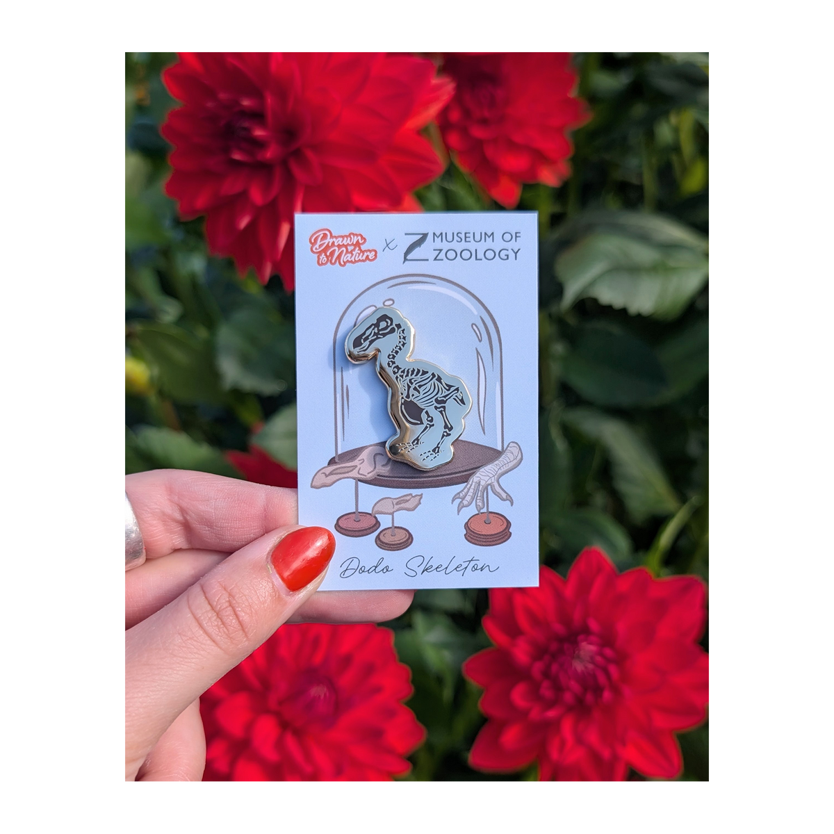Dodo Skeleton - Enamel brooch