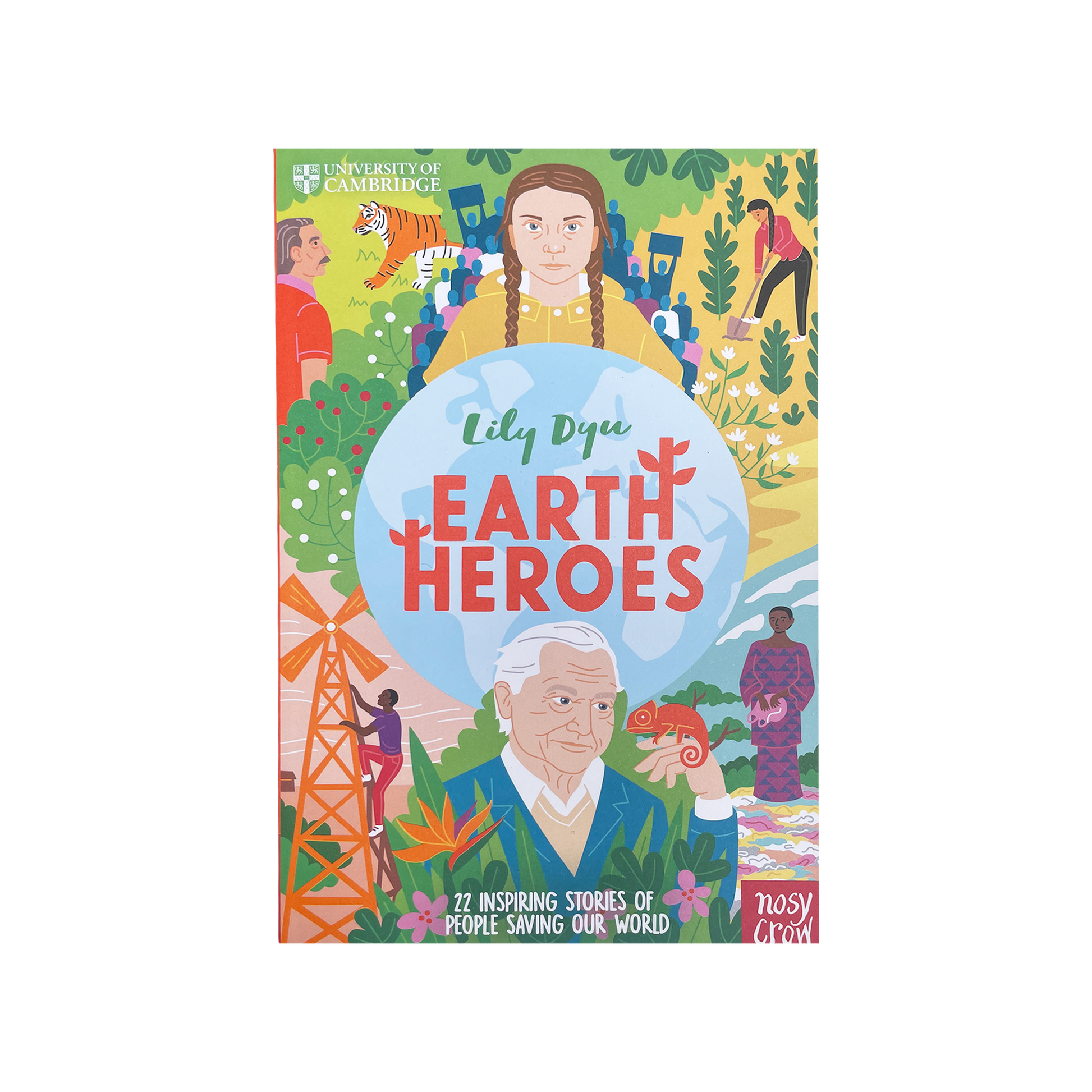 Book cover of 'Earth Heroes' by Lily Dyer with colorful illustrations on a white background