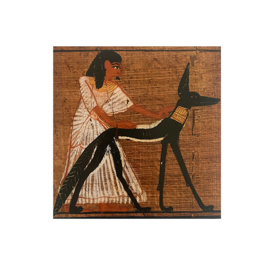 Ancient Egyptian papyrus with a figure and a dog on a white background