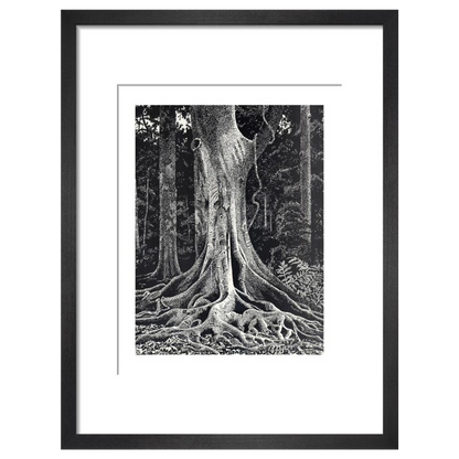 Forest Giant - art print