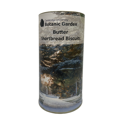 Botanic Garden Biscuit Drum - Winter scene