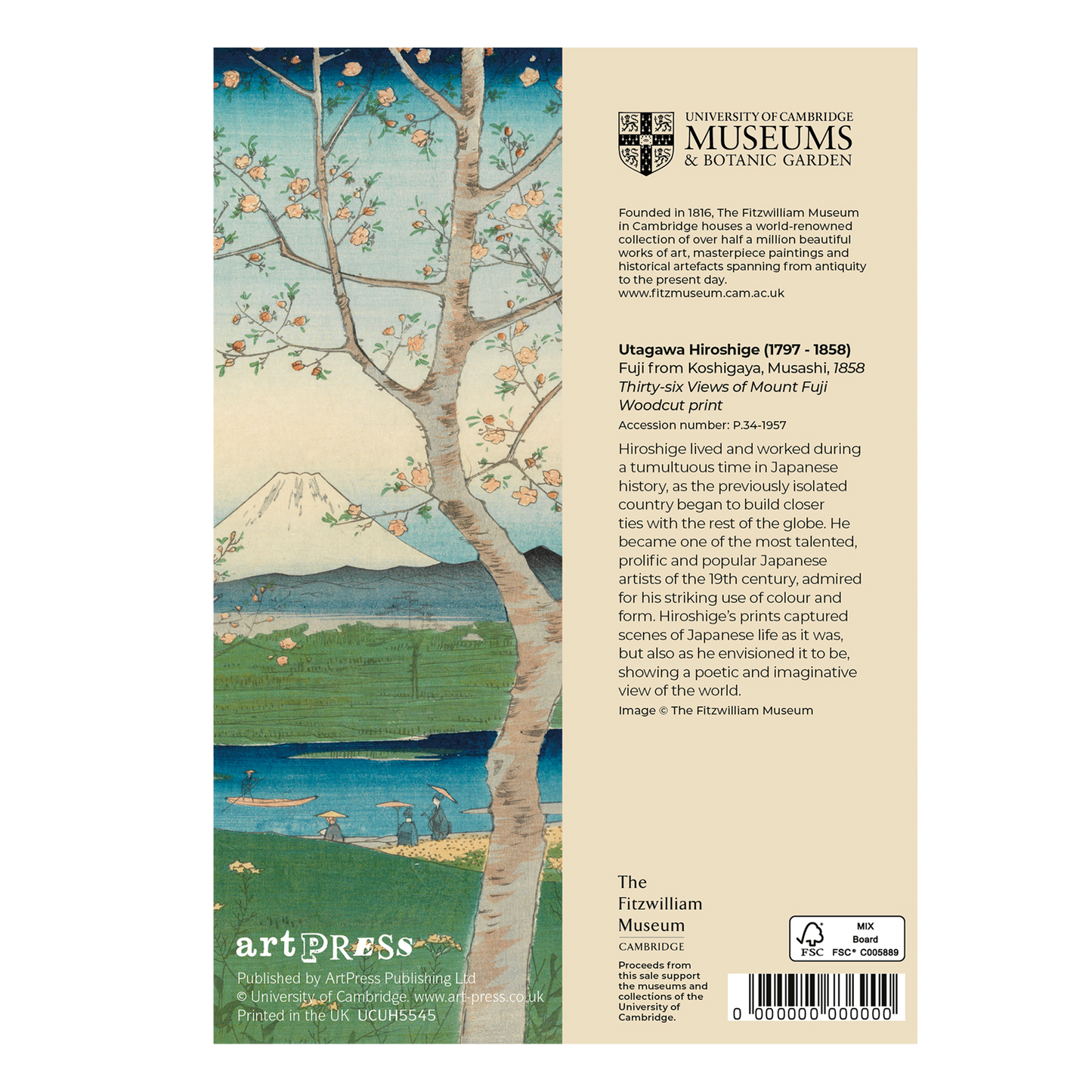Fuji from Koshigaya - Greeting card