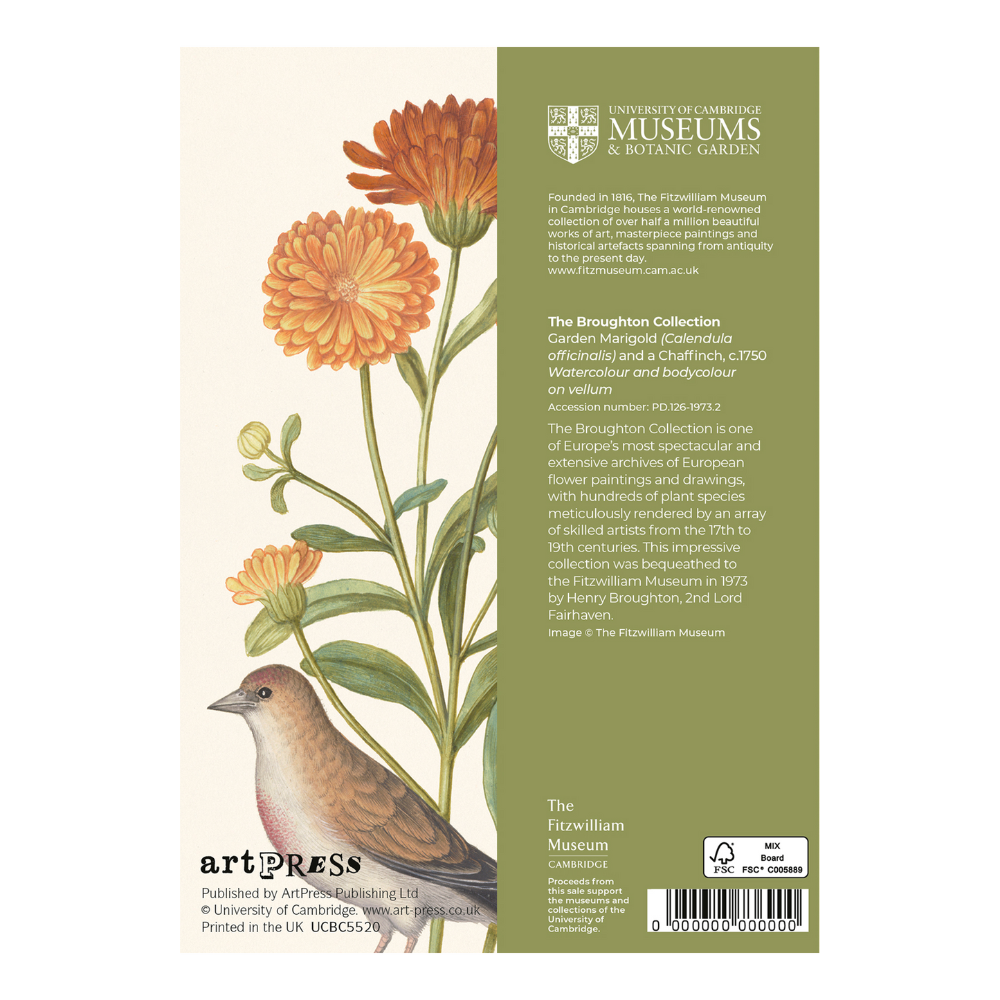 Garden Marigold and Chaffinch - Greeting card
