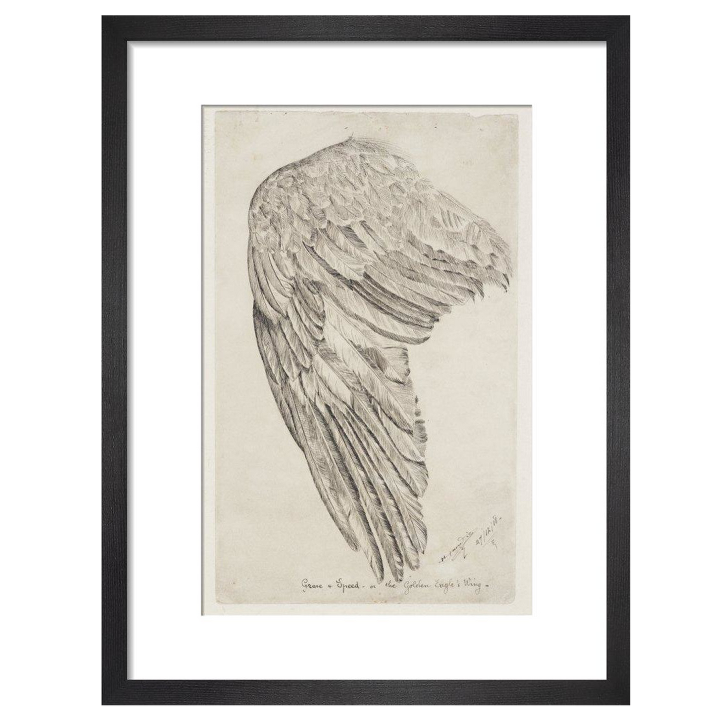 Grace and Speed, or The Golden Eagle's Wing - Art print