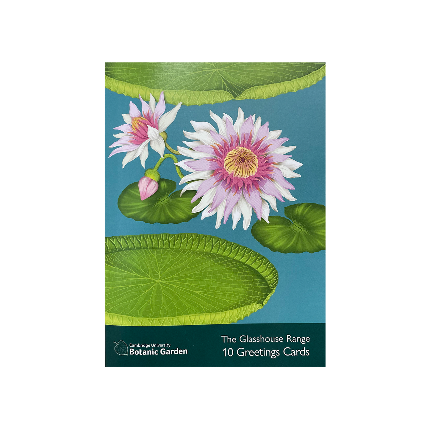 Glasshouse Range - Greeting card pack