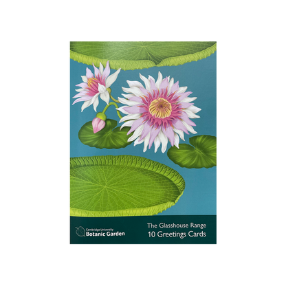 Glasshouse Range - Greeting card pack