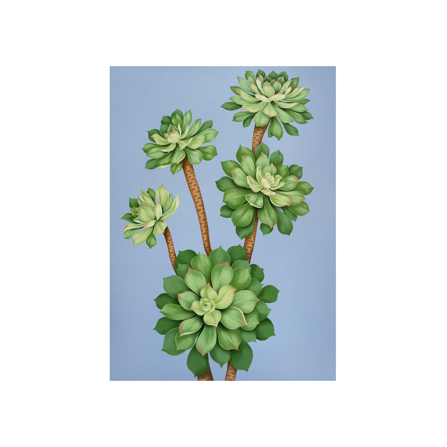 Glasshouse Range - Greeting card pack