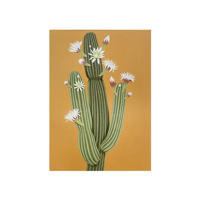 Glasshouse Range - Greeting card pack