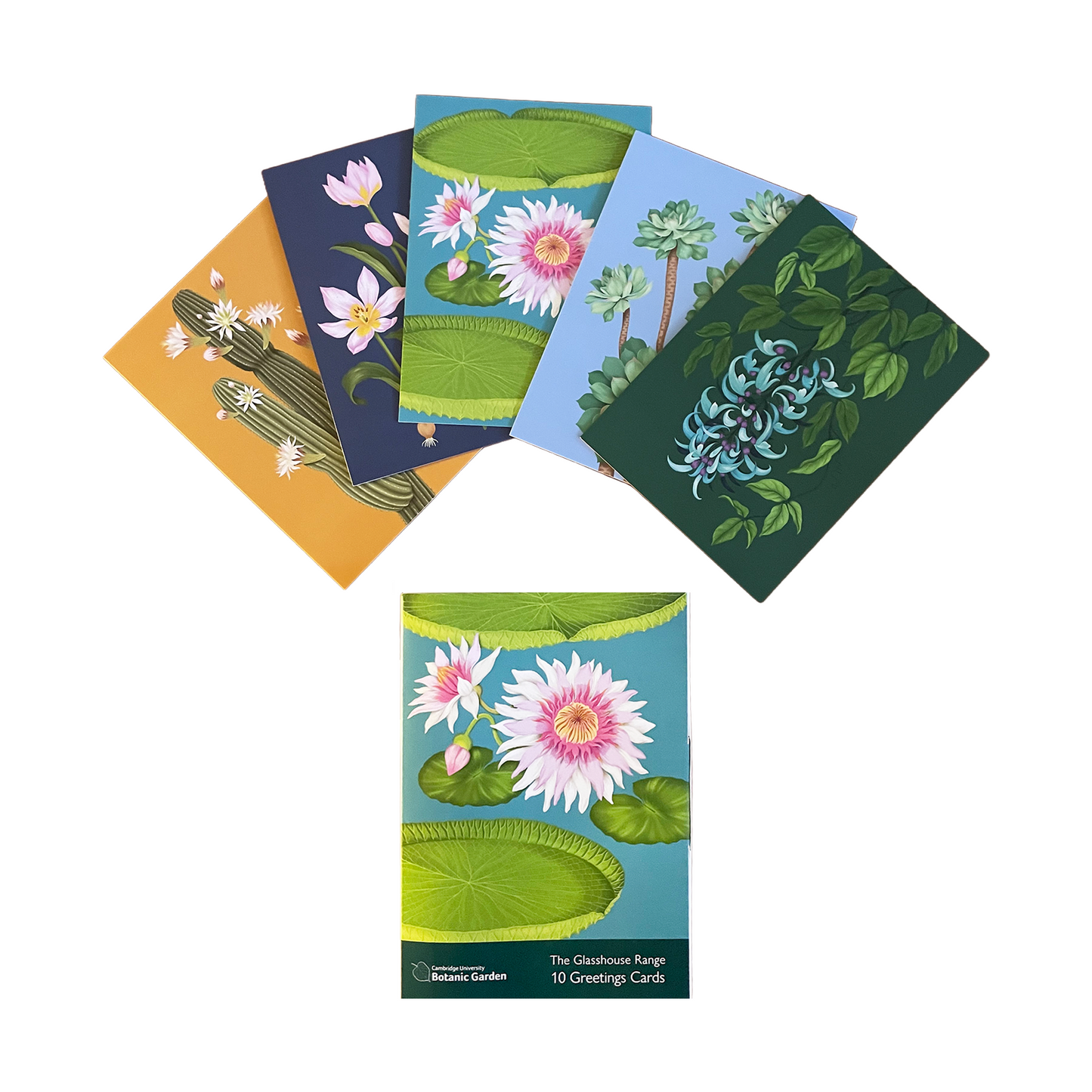 Glasshouse Range - Greeting card pack