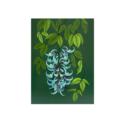 Glasshouse Range - Greeting card pack