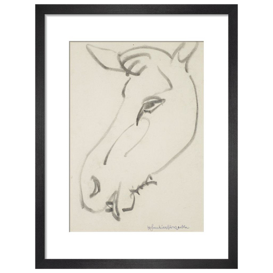 Head of a horse - Art print