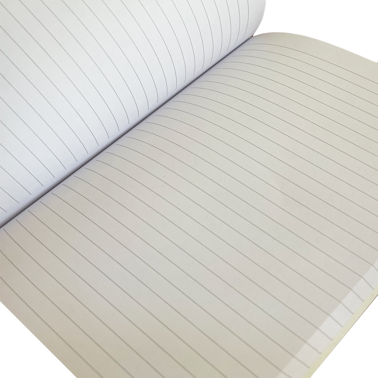 Sleeping Leopard - Eco Notebook