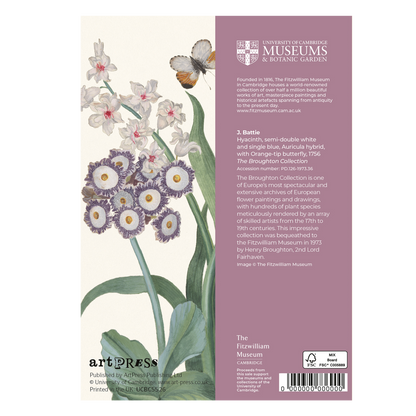 Hyacinth, Auricula, and Orange-tip Butterfly - Greeting card