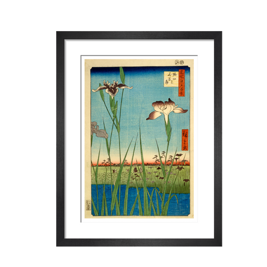 Iris Garden at Horikiri - Art print